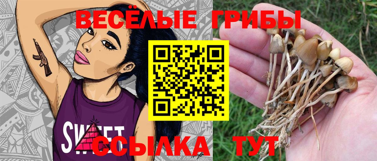 магазин    Галлюциногенные грибы мухоморы  Вход с VPN  Улан-Удэ 